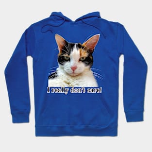 Cute Calico Cat with Attitude – I Really Don't care! Hoodie